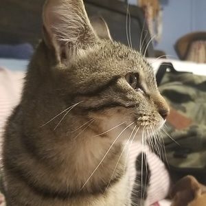 Meet your Posher, Paul